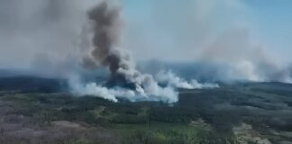 Russian troops are massively setting fire to Ukraine's border forests and destroying observation towers, video