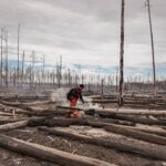 Rescuers have been trying to extinguish a fire in the Exclusion Zone for over a day; the fire has covered more than 80 hectares