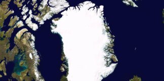 Greenland's Premier states he will not agree to cede sovereignty to the US for new military bases