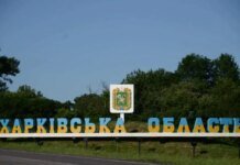 Russian drone attacks truck in Kharkiv region, one dead and several wounded