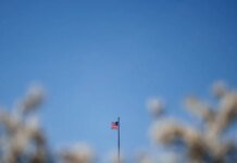US approves potential $108.1 million sale of Hawk missile system equipment to Ukraine