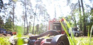 Large-scale forest fire breaks out near the combat zone in Kharkiv region