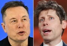 The Musk-Altman trial is in the final stretch. These big questions still remain.