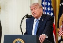 Trump is weighing AI oversight. This is what smart people are saying about it.