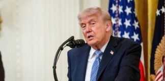 Trump is weighing AI oversight. This is what smart people are saying about it.