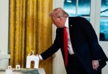 Trump plans to build a giant 250-foot arch in Washington, DC. See how he has changed the capital during his second term.