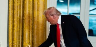 Trump plans to build a giant 250-foot arch in Washington, DC. See how he has changed the capital during his second term.