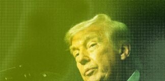 Trump Pivots on AI Regulation, Worker Ousted by DOGE Runs for Office, and Hantavirus Explained