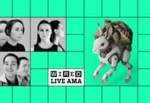Submit Your Questions: AI Is Changing Your Job—Now What?