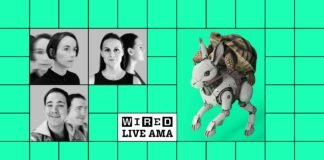 Submit Your Questions: AI Is Changing Your Job—Now What?